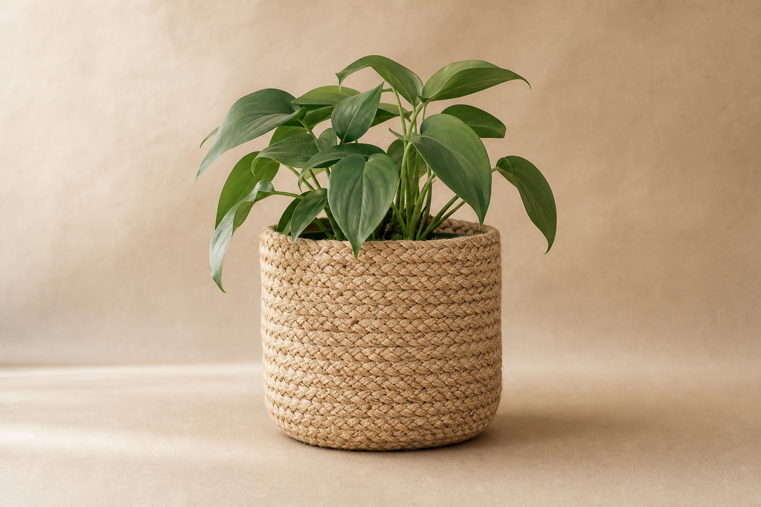 Woven Jute Planter